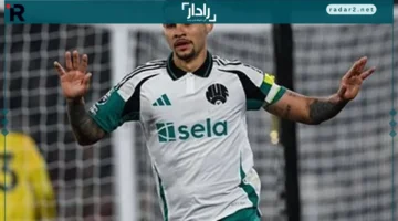 تشكيلة مميزة.. تفاصيل موعد مباراة نيوكاسل يونايتد وفولهام في الدوري الإنجليزي الممتاز والقنوات الناقلة